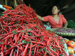 DKP Siak pastikan stok pangan aman jelang Nataru meski harga cabai naik akibat pasokan terganggu dari Sumbar dan Sumut. Foto: infopublik.id