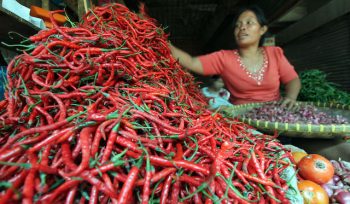 DKP Siak pastikan stok pangan aman jelang Nataru meski harga cabai naik akibat pasokan terganggu dari Sumbar dan Sumut. Foto: infopublik.id