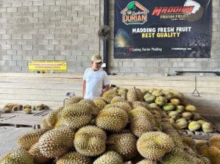 Gudang Durian Madding di Sleman jadi destinasi kuliner populer dengan garansi durian dan dukungan bagi ekonomi kreatif lokal. Foto: Istimewa